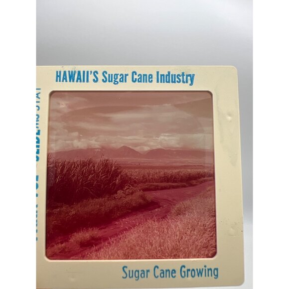 Vintage Pineapple & Sugar Cane Industries GAF Pana-Vue Travel Slides Hawaii - Picture 7 of 11